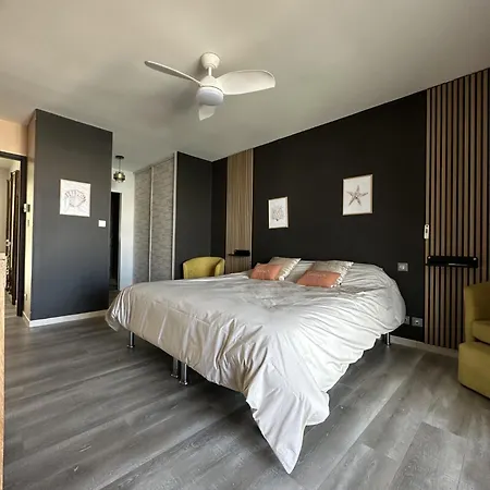 Villa Splendide Marina Sur L'ile Saint-martin Agde